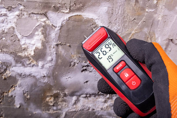 Mold Removal and Inspection in Bardonia, NY