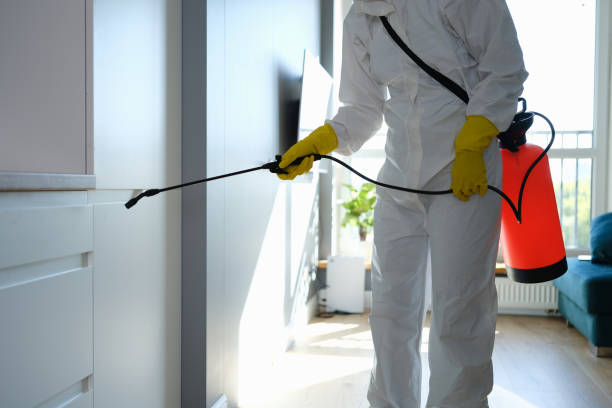 Best Mold Testing  in Bardonia, NY