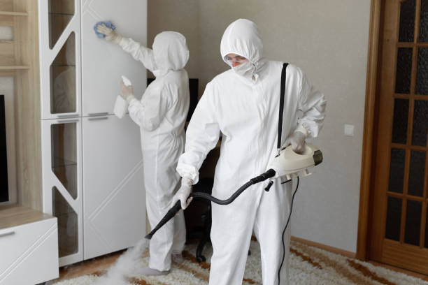 Professional Mold Removal in Bardonia, NY