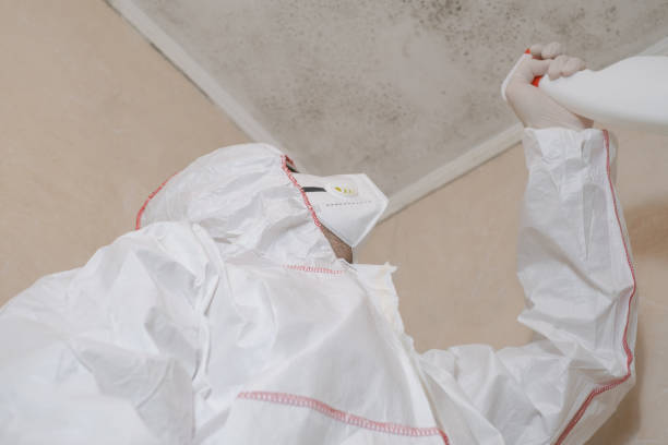 Best Emergency Mold Removal  in Bardonia, NY